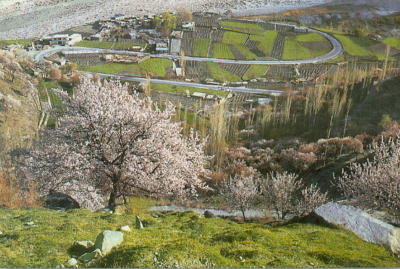 Hunza Blossom Tour